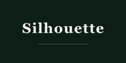 Silhouette logo — Austrian rimless titanium eyewear pioneer since 1964