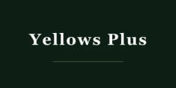 Yellows Plus logo — precision Japanese eyewear crafted in Fukui