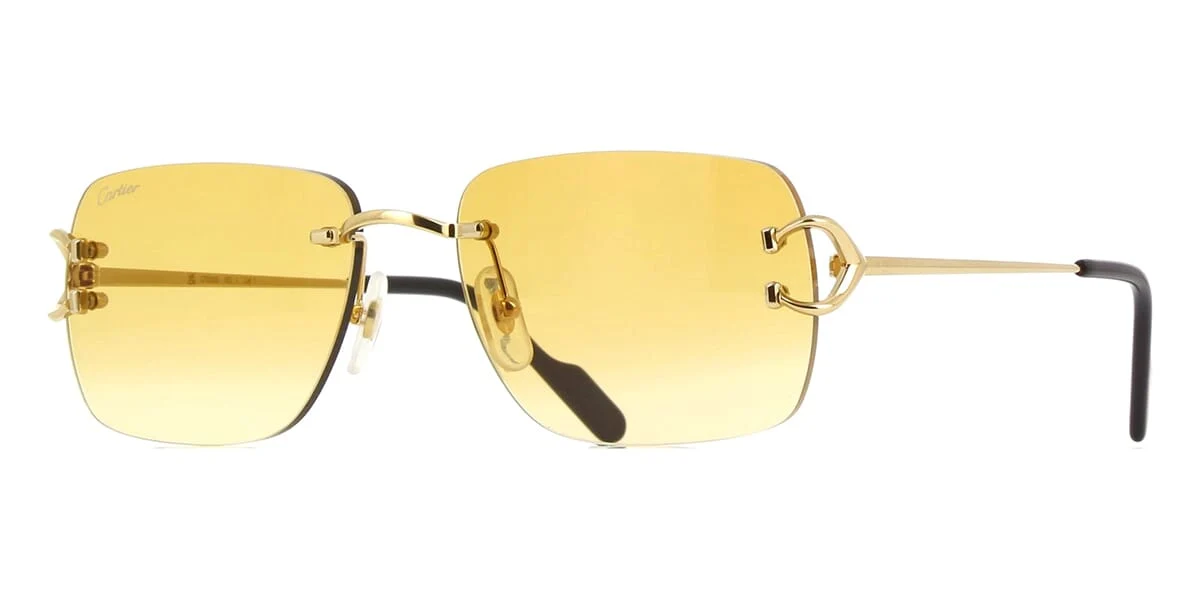 Cartier CT0330S — independent eyewear frame